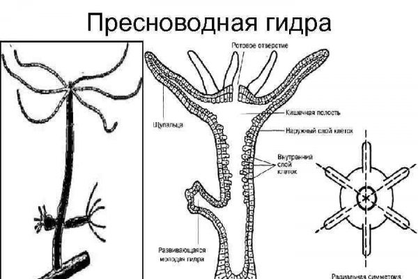 Как найти кракен в торе