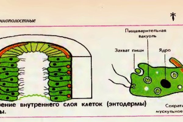 Официальная тор ссылка кракен сайта